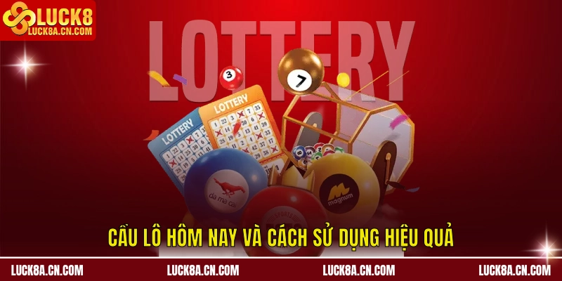 Cầu lô hôm nay và cách sử dụng hiệu quả